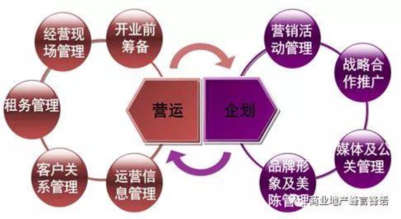 商业规划公司：打造成功的商业蓝图